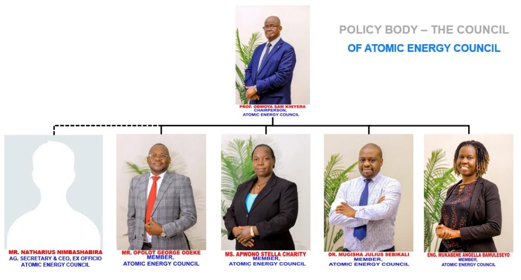 The composition of the Council at AEC